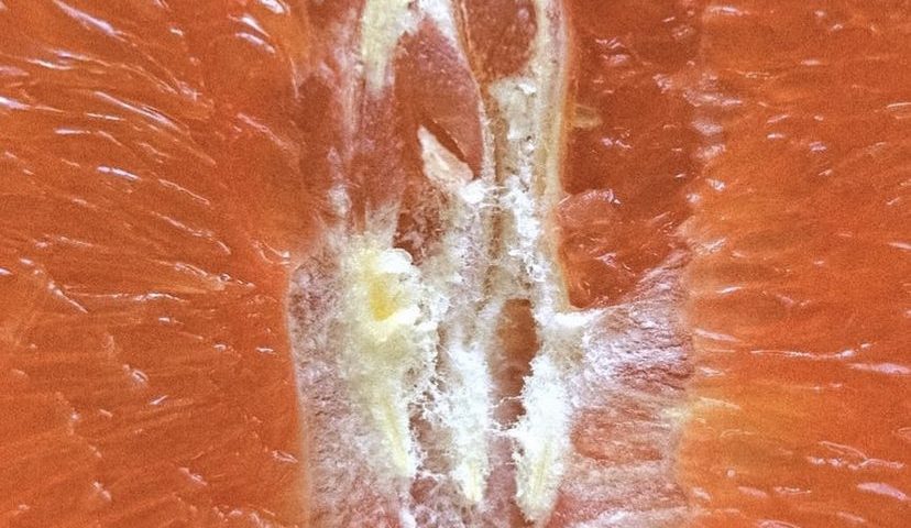 5 INGESTAS AYUNO INTERMITENTE